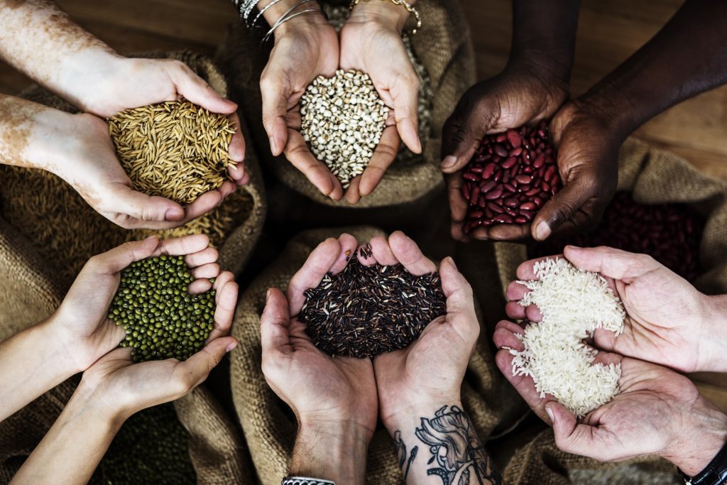 hands holding different seeds